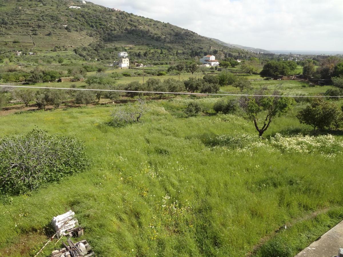 Villa House In The Grass Land. à Ormos  Extérieur photo