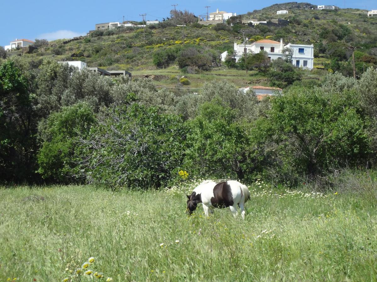Villa House In The Grass Land. à Ormos  Extérieur photo