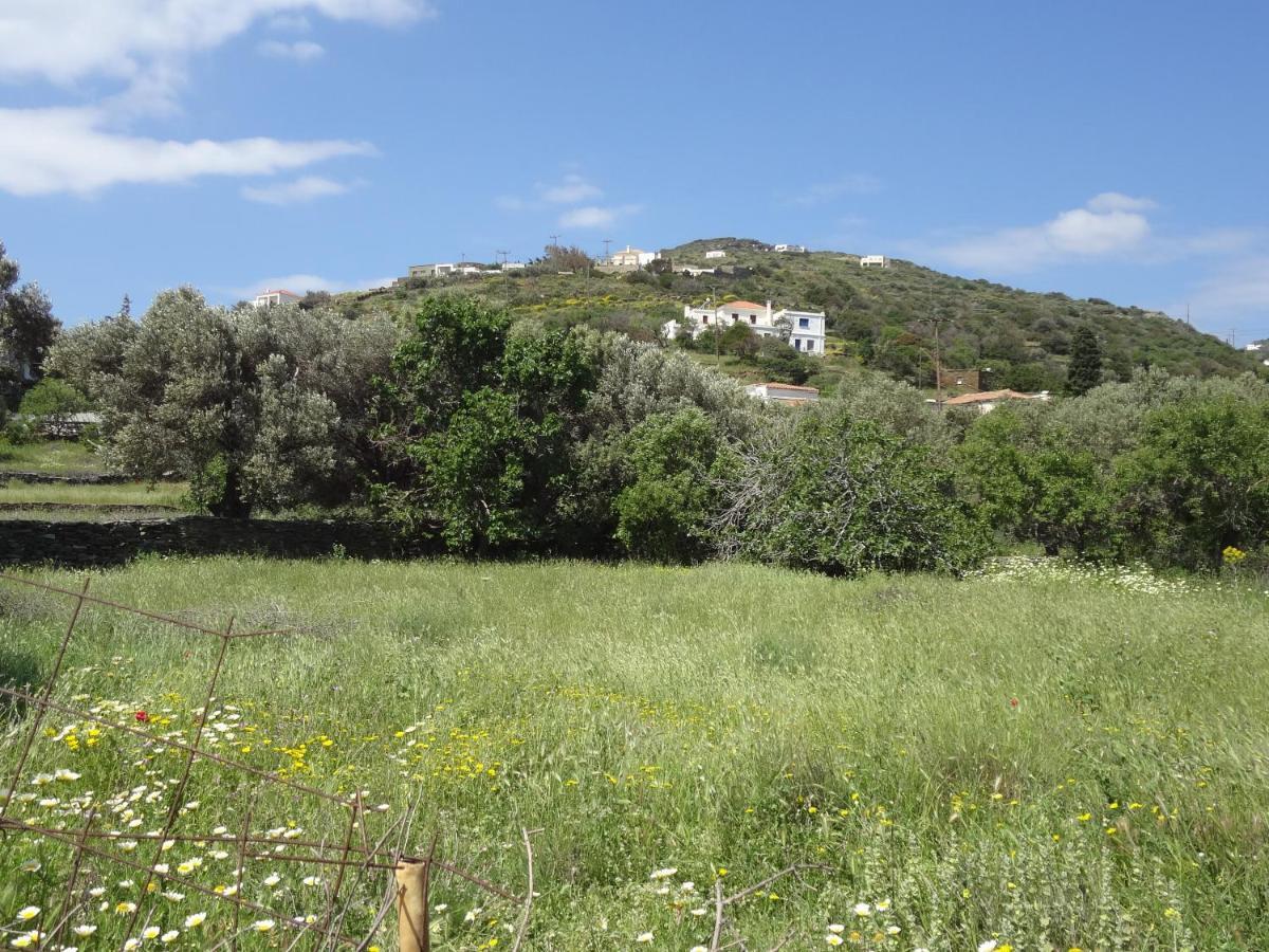 Villa House In The Grass Land. à Ormos  Extérieur photo
